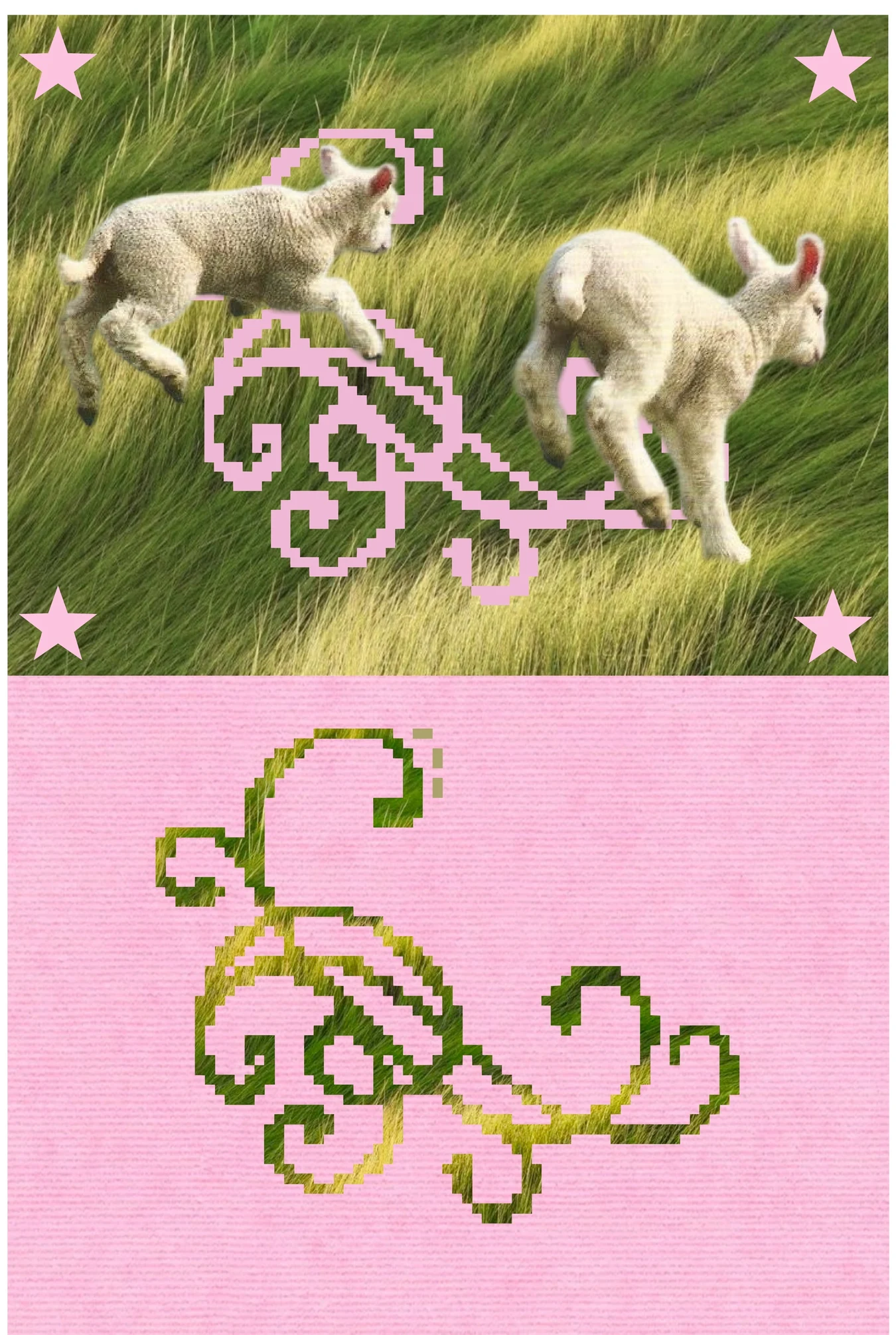 1-pink&green